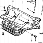 Carterpan ㅤㅤㅤㅤ